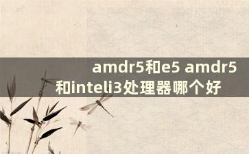 amdr5和e5 amdr5和inteli3处理器哪个好